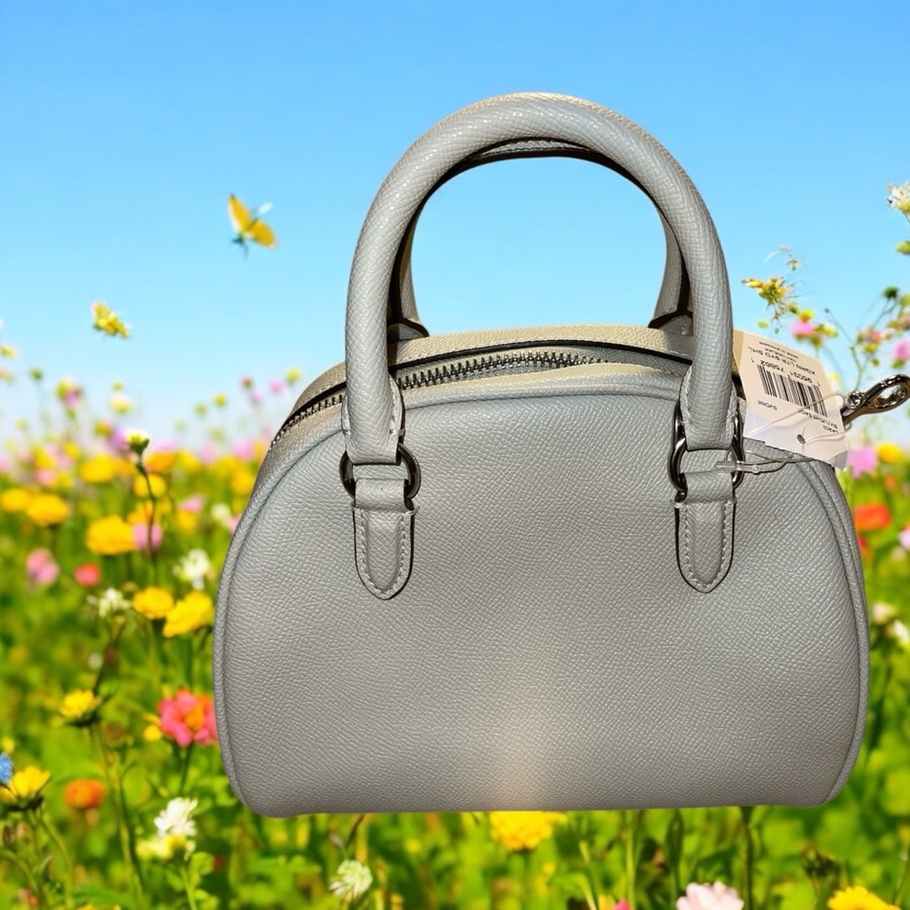 Coach Sydney Satchel Crossbody Lt. Sage Green Silver Logo Bag w/ pink cherry NWT - Picture 3 of 11